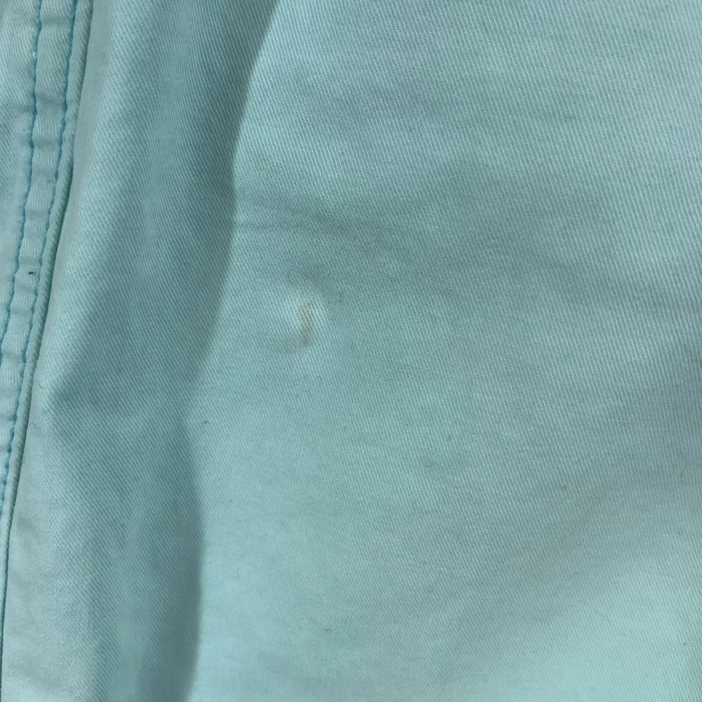 AMERICAN EAGLE SHORTS SIZE‎ 30W x 9L MENS Mint Green BEACH CASUAL